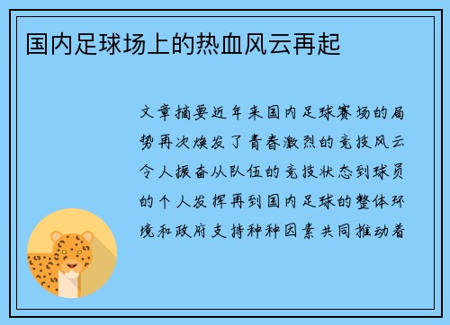 国内足球场上的热血风云再起